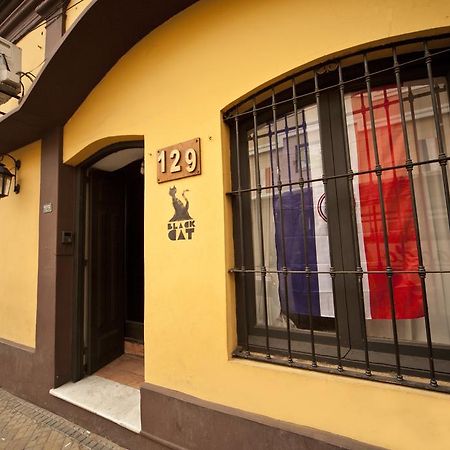 Black Cat Hostel Ασουνσιόν Εξωτερικό φωτογραφία