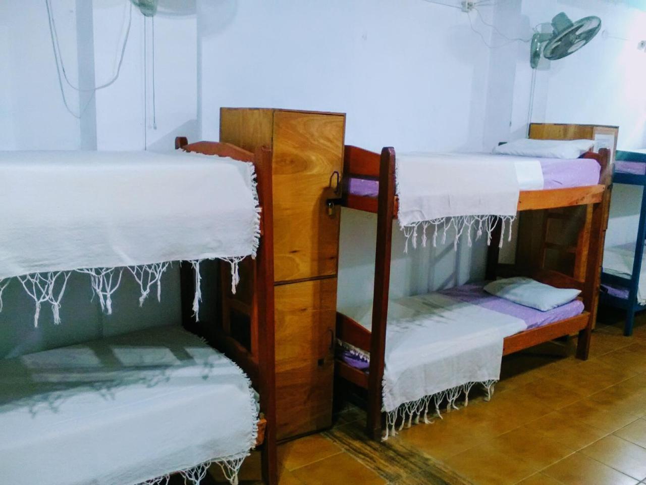 Black Cat Hostel Ασουνσιόν Εξωτερικό φωτογραφία