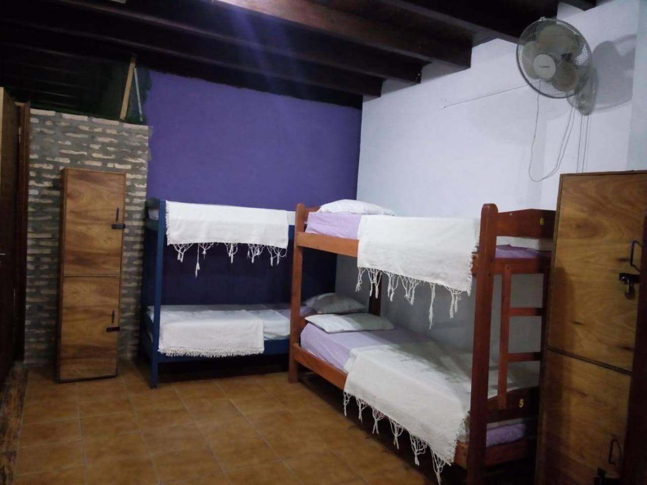 Black Cat Hostel Ασουνσιόν Εξωτερικό φωτογραφία